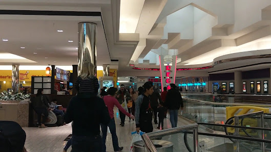 MacArthur Center photo 3