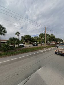 Sabal Palm Plaza photo 5