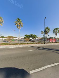 Tampa Mall photo 7