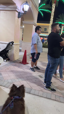 Weston Town Center photo 3