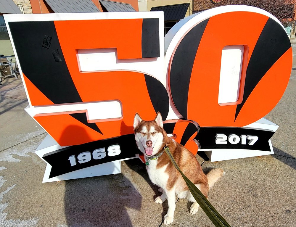 Anderson Towne Center in Cincinnati, OH