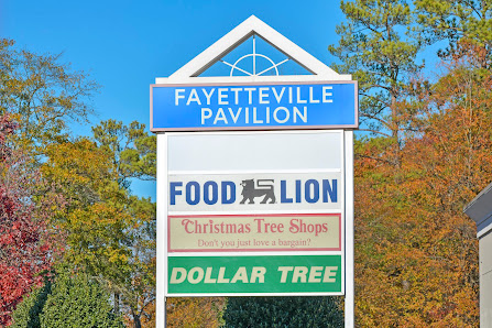 Fayetteville Pavilion photo 5