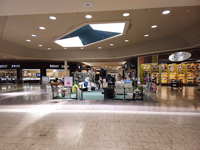 Mesa Mall photo 2
