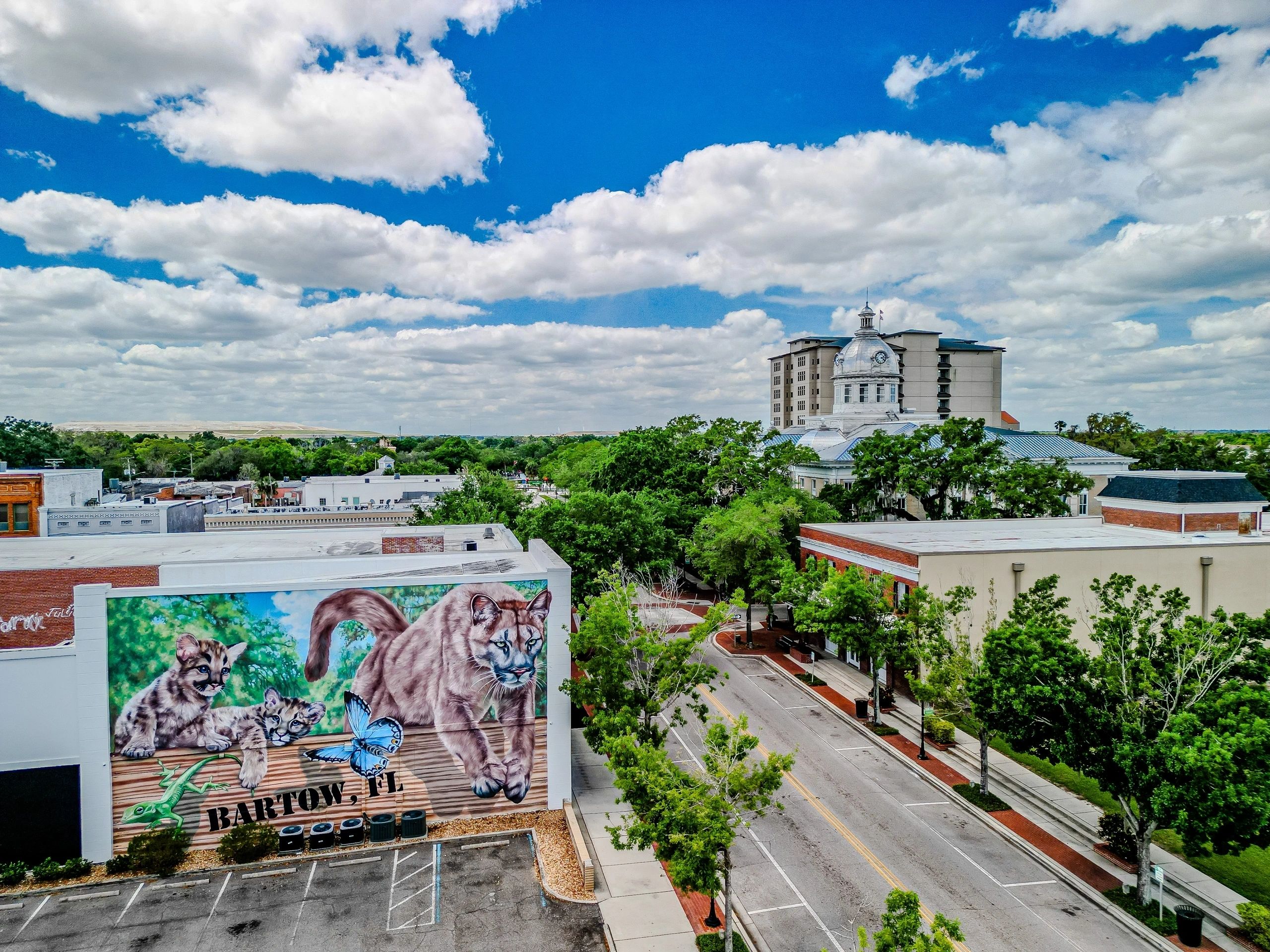 Bartow Shopping Center in Bartow, FL