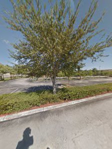 Plaza at Davie photo 5