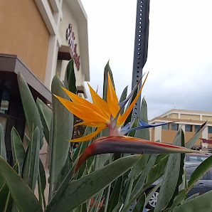 Glendale Fashion Center photo 3