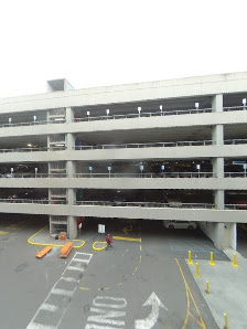 Bronx Terminal Market photo 7