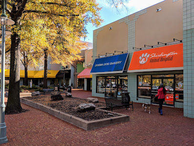 Village at Shirlington photo 4