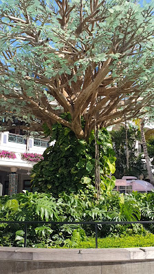 CityPlace photo 3