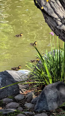 Seaport Village photo 2