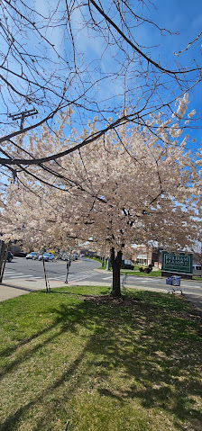 Post Road Plaza photo 2