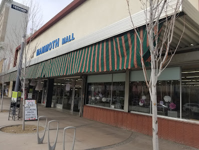 Mammoth Mall photo 1