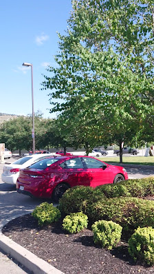 Lakewood Mall photo 3