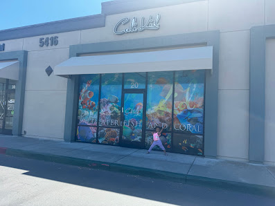 Bear Valley Center photo 1