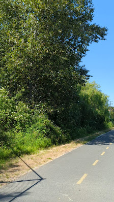 Saanich Centre photo 3
