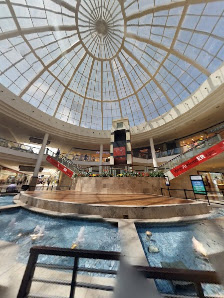 The Avenues photo 6