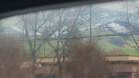 The Orchards At Walnut Creek photo 3