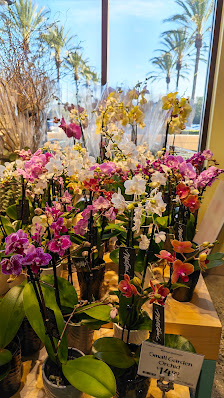 Los Olivos Marketplace | Irvine Spectrum photo 2