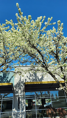 Rockwell Plaza Shopping Center photo 2