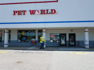 Hampton Plaza photo 1