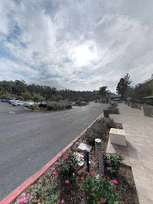 The Shoppes at Carlsbad photo 7