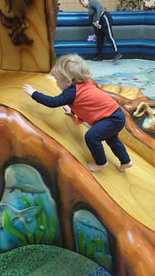 Mt. Shasta Mall photo 3