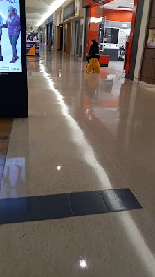 Tecumseh Mall photo 3