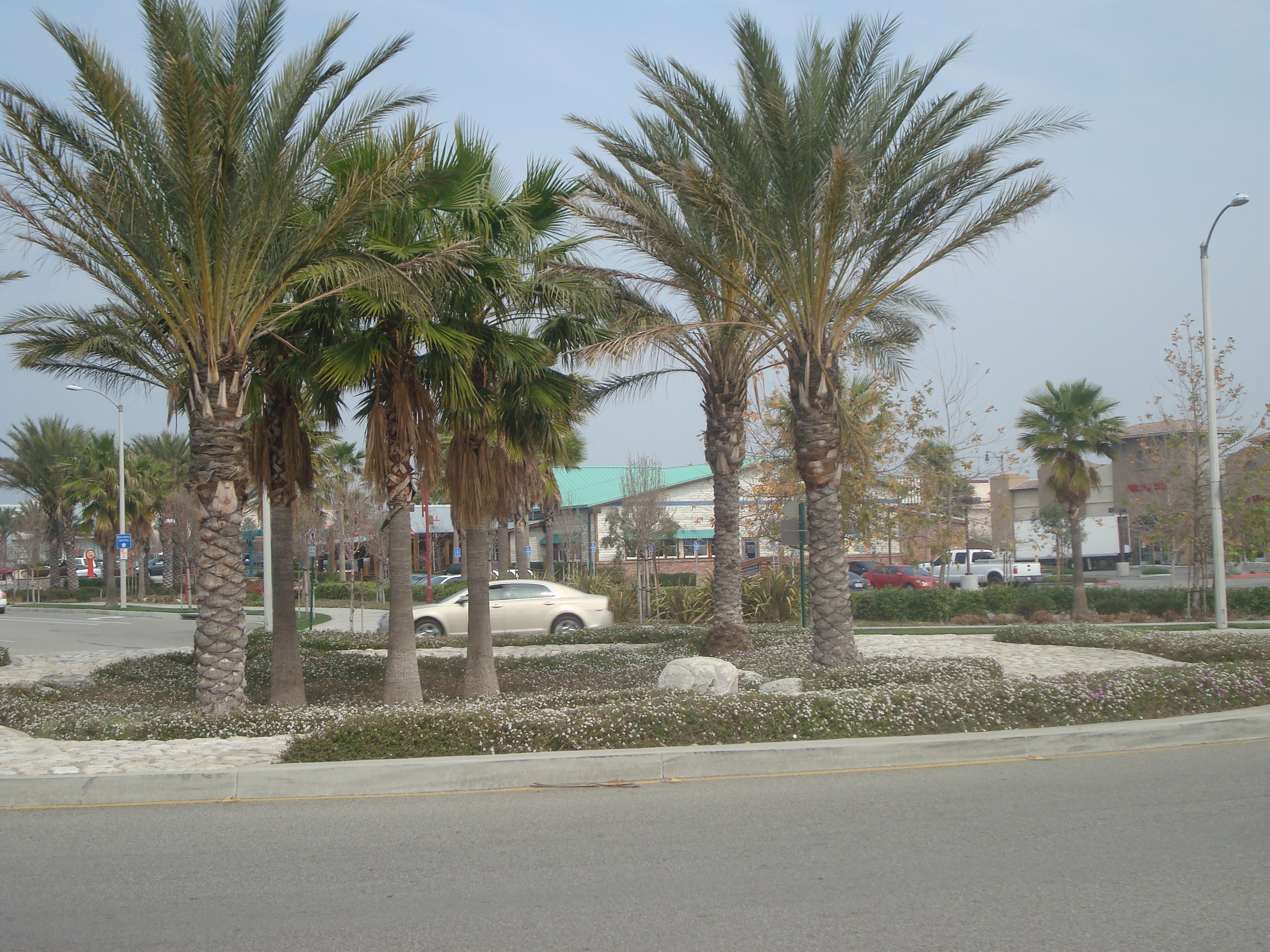 Foothill Crossing in Rancho Cucamonga, CA