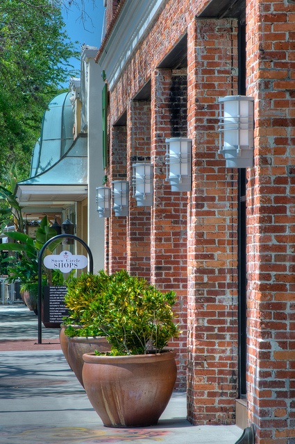 Hyde Park Village in Tampa, FL