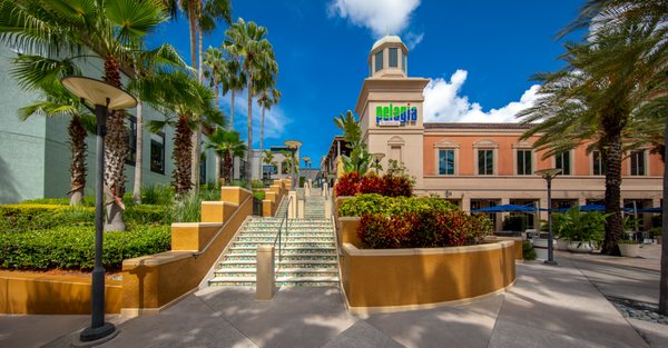 International Plaza and Bay Street in Tampa, FL
