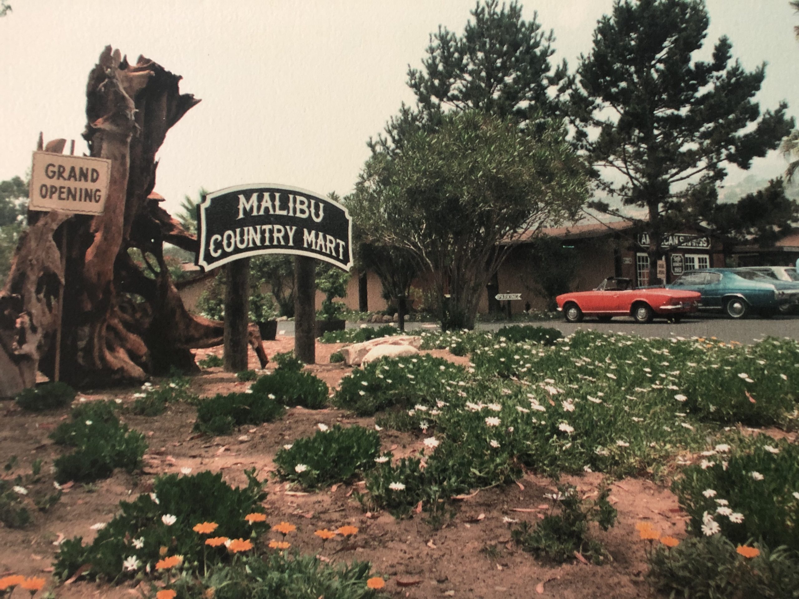 Malibu Country Mart in Malibu, CA