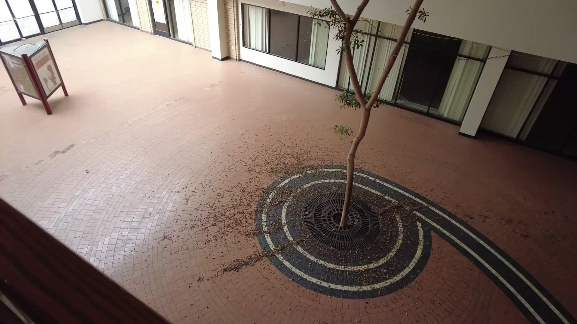 The New Manchester in Fresno, CA