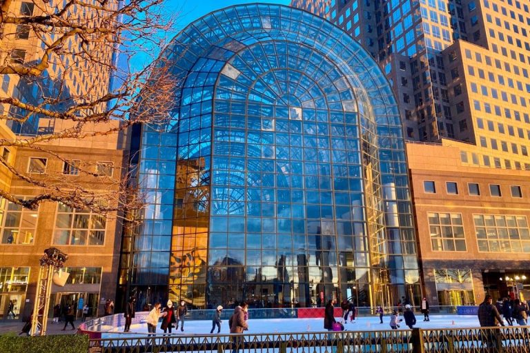The Rink at Brookfield Place with Gregory & Petukhov in New York, NY