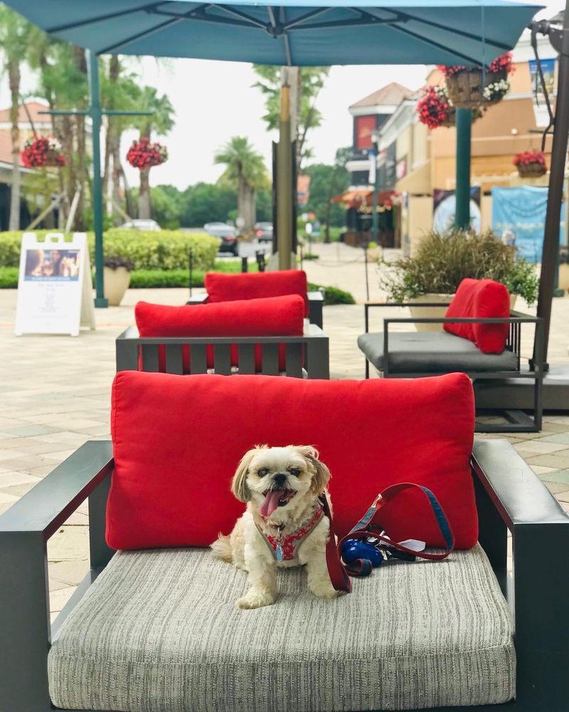 The Shops at Wiregrass in Wesley Chapel, FL