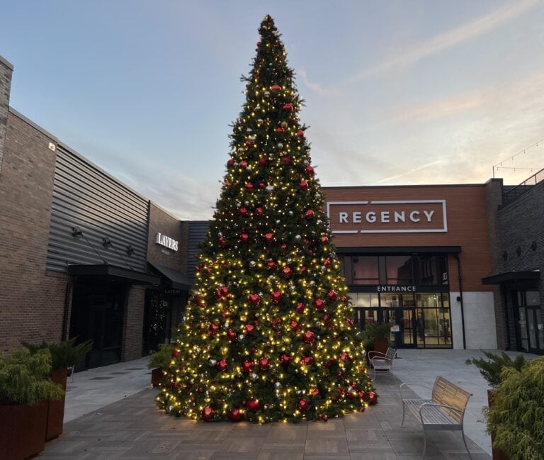 Regency Shopping Mall in Richmond, VA